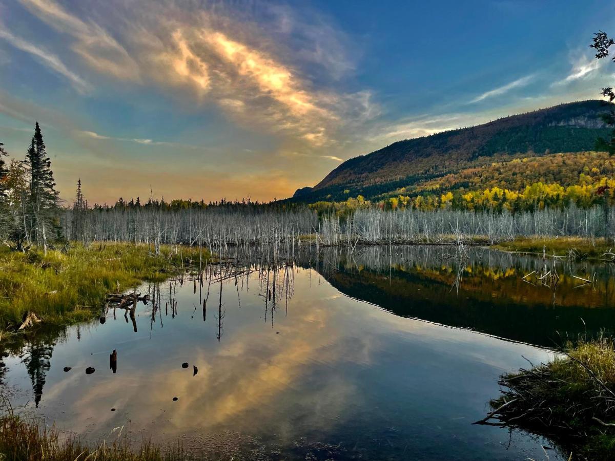 Le Carabobo Auberge Forillon Gaspé Exteriör bild
